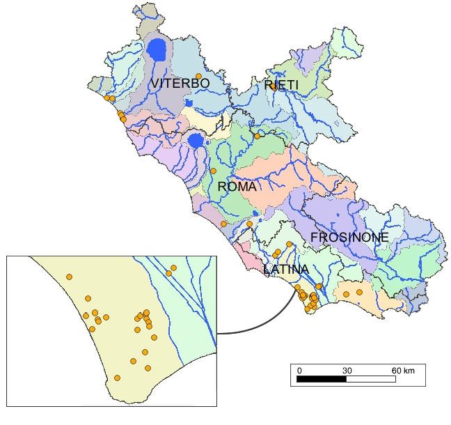Cartina